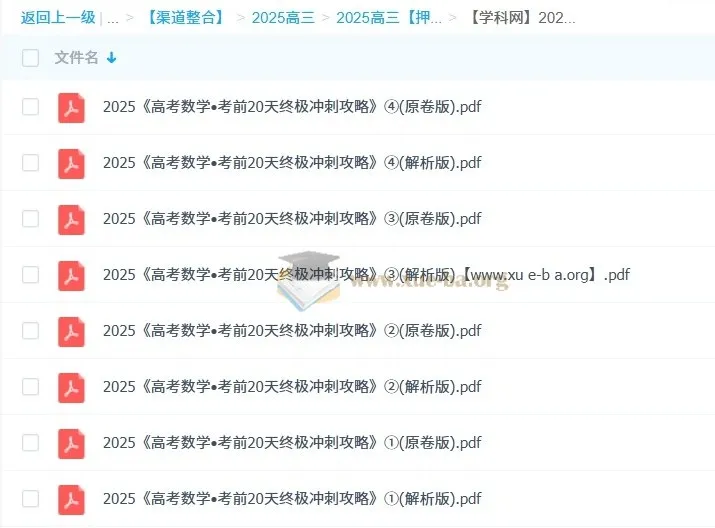 2025高考数学考前20天终极冲刺攻略1 - 4辑