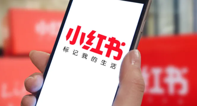 小红书电商运营97节VIP内部课：带你实现小红书赚钱