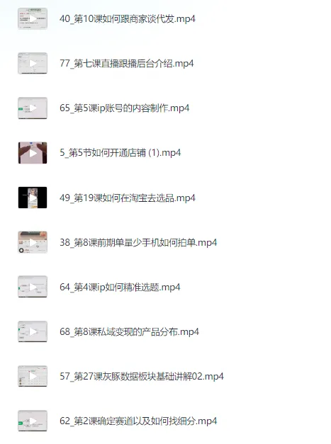 小红书电商运营97节VIP内部课：带你实现小红书赚钱