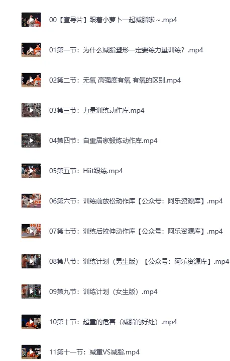 《B站零基础减脂塑形课程 - 男女适用（完结）》