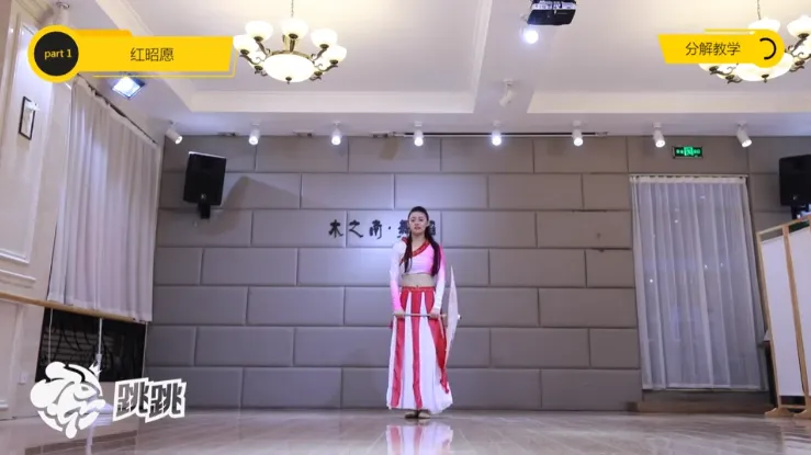 《抖音热门舞蹈零基础教学视频超全合集》