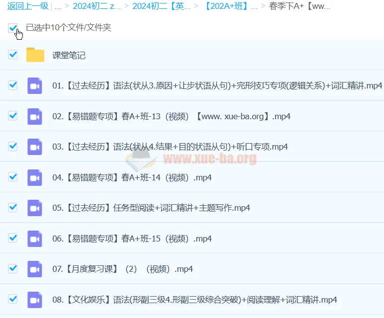 初二英语培训班（王凯皎）2024 A+寒春班