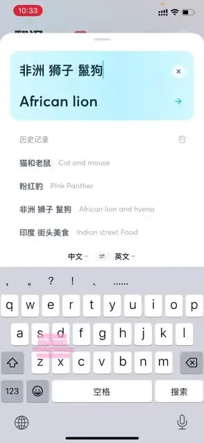 国外美食与视频创业全攻略课程：从素材搜索到抖音运营