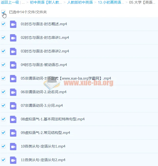 大学英语四级语法基础巩固14课时课程
