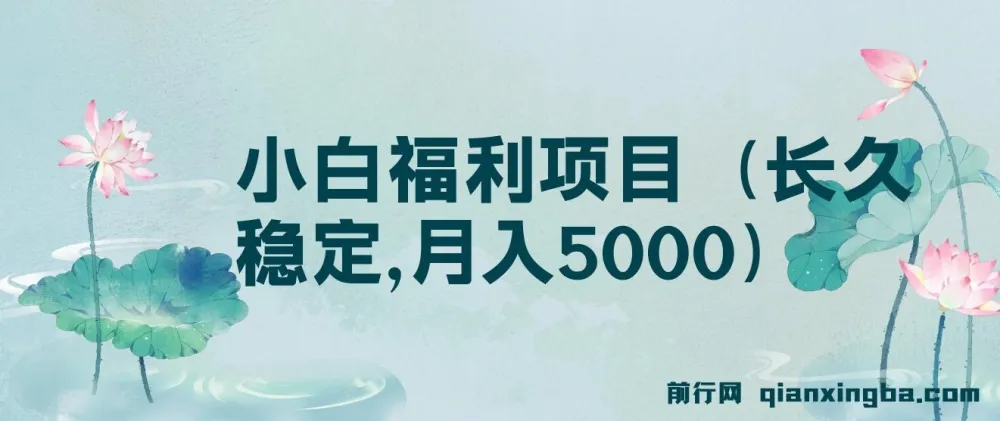 搏金汇第26课：小白福利长久稳定项目