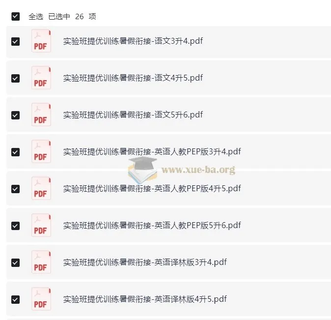 小学实验班提优训练·暑假衔接版（语数英）