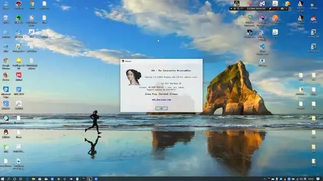 逆向工程全163节视频教程及课件