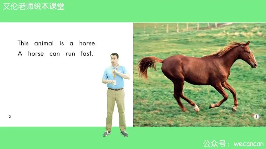 海尼曼Heinemann英语分级读物全套课程