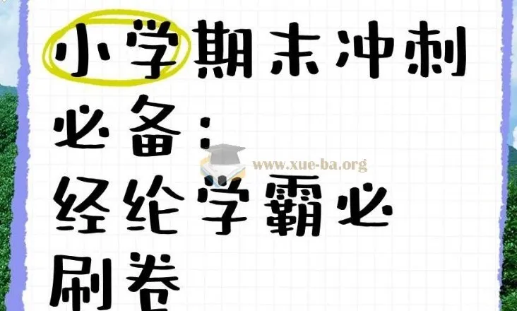 经纶学霸《2025春小学学霸期末必刷卷·语数英》