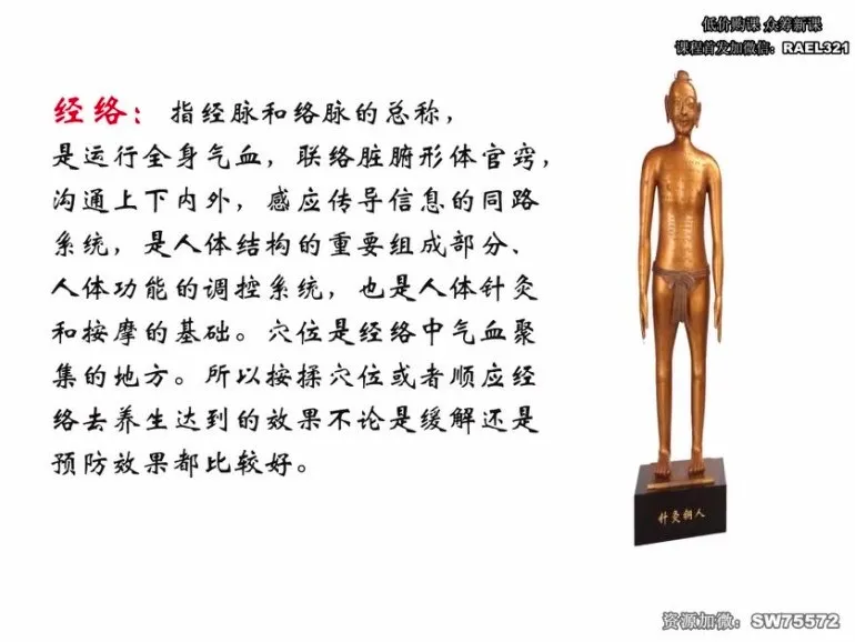 男士健康：高思楠补肾宝典课程