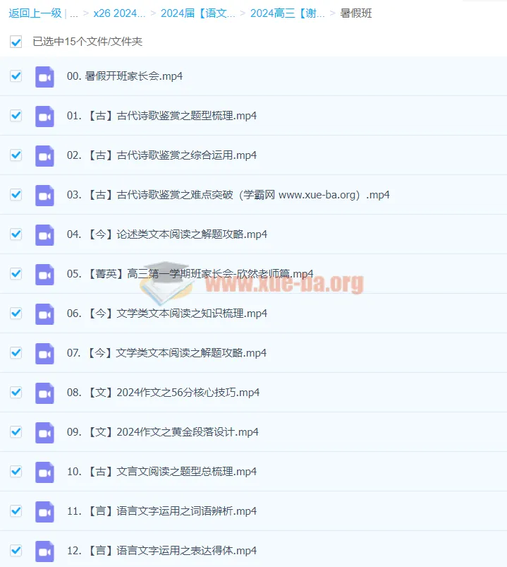 2024高三高考语文谢欣然暑假班课程