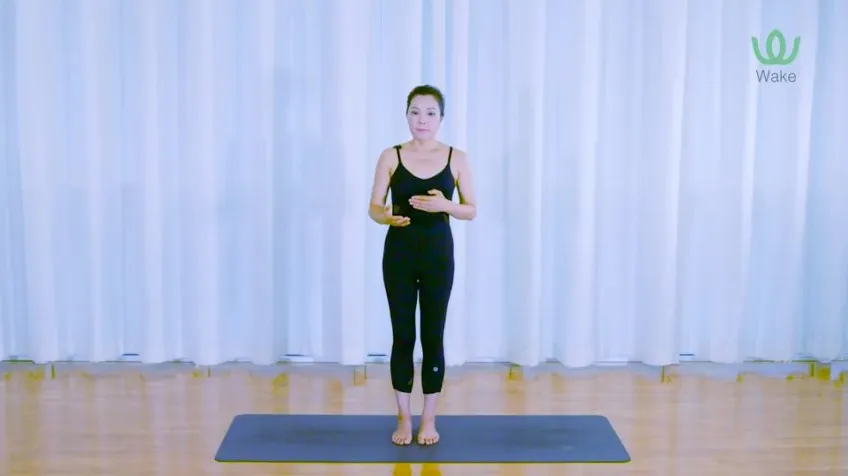 杨淇五行经络瑜伽课：结合中医理论的经络养生术