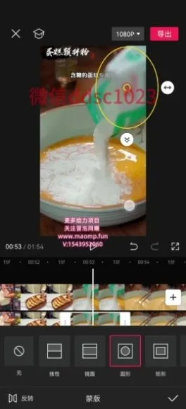 拼多多视频3.0爆款带货秘籍：快速实现高收入目标