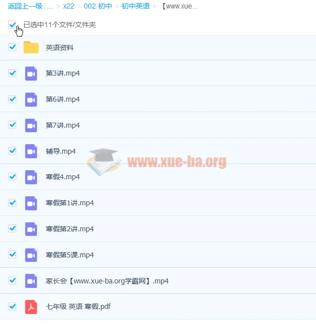 王冰初一英语寒假班课程
