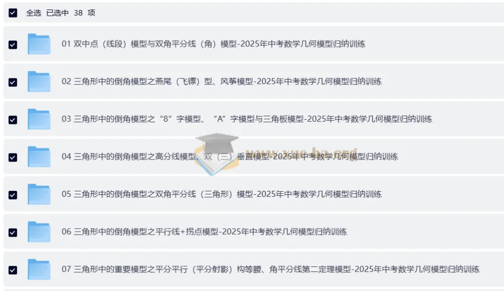 2024 - 2025中考数学几何模型归纳训练（全国通用）
