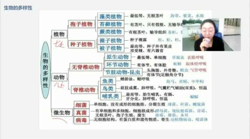 初二生物春季精讲课程-13讲全解析