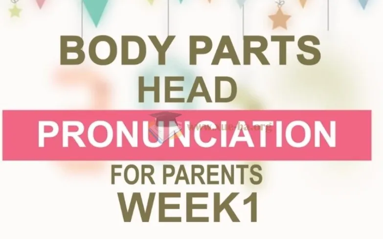 时光企鹅英语口语课：零基础开口说英语