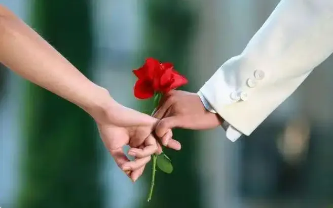 撩妹搭讪特训营：恋爱聊天专项课程合集