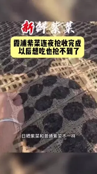 李鲆《短视频带货实战指南：从入门到爆单》