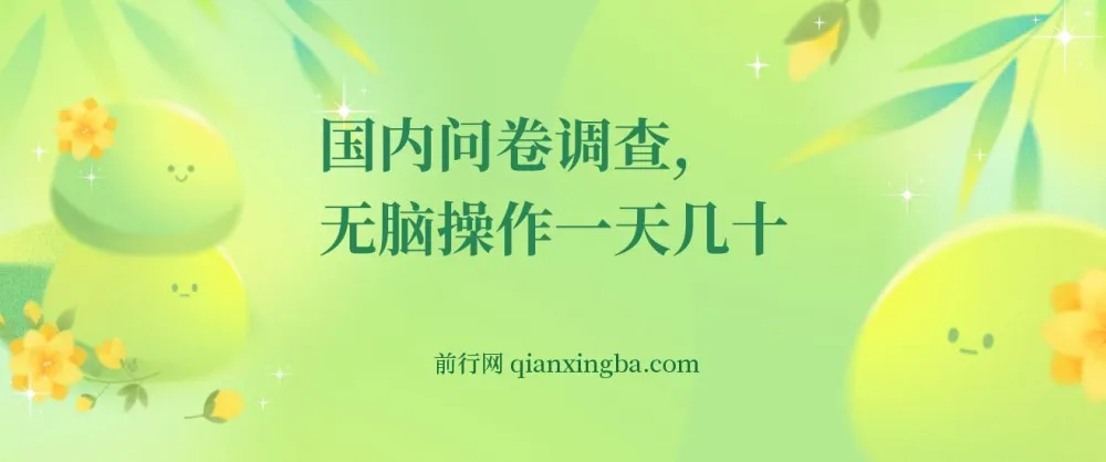 国内问卷调查实操：无脑操作日赚50+