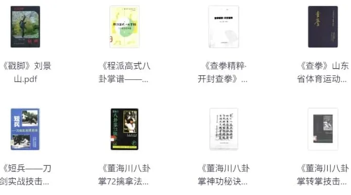 武术经典著作合集：领略中华武术精髓