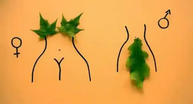 性科学经典书籍合集:深入探索人类性健康与幸福领域