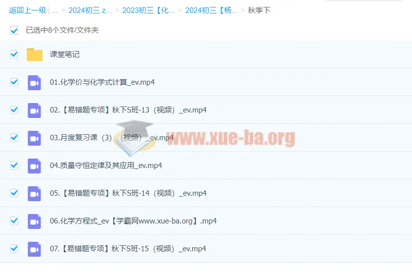 2024初三中考化学杨雯智S秋季班（下）