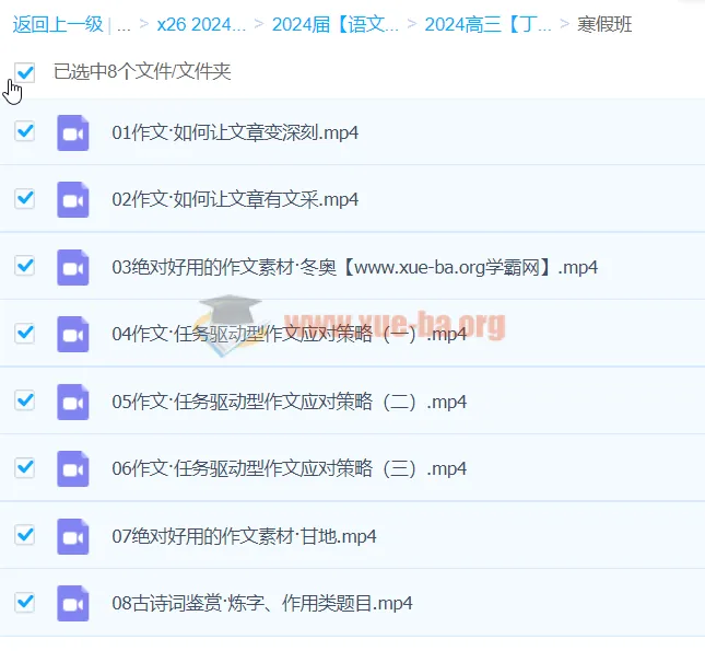 丁钰临2024高三高考语文寒假班课程