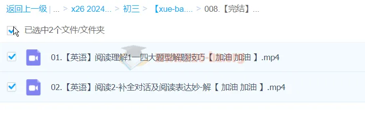 2024中考：中考英语阅读理解一本通