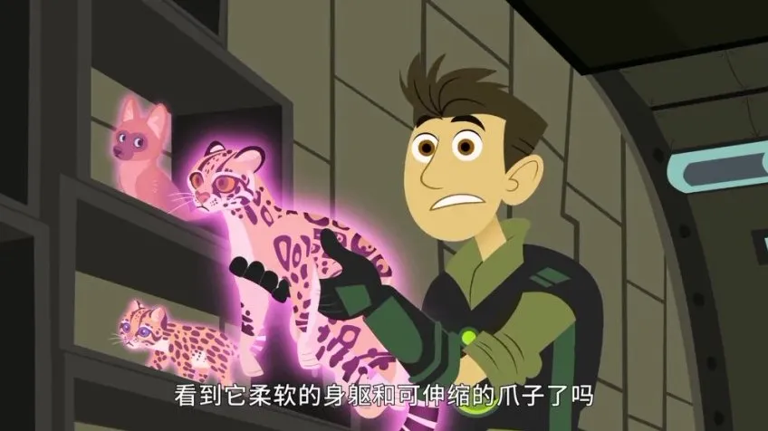 《动物兄弟》全6季动画资源合集