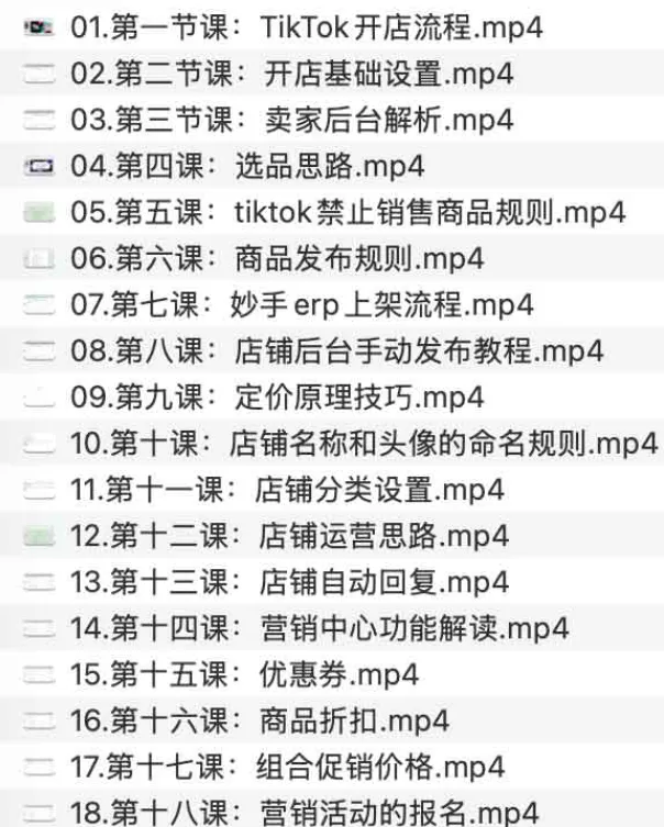 TikTok普通卖家新手入门指南