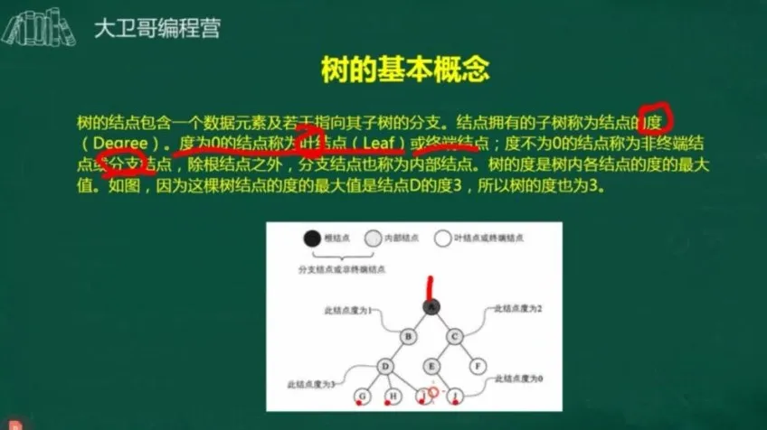 C++竞赛初阶45讲：数据结构与算法精讲