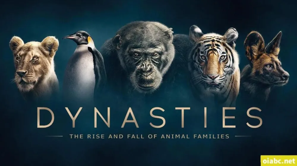 BBC纪录片《王朝 Dynasties》（2018）全5集