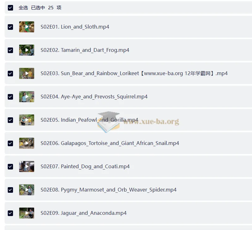 BBC户外自然科普儿童英文节目《Go Wild》（第一季+第二季，视频+音频）