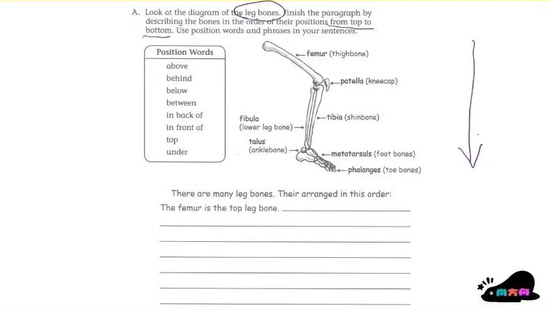 曹文教授英语写作技巧精讲课程（3 - 4级）