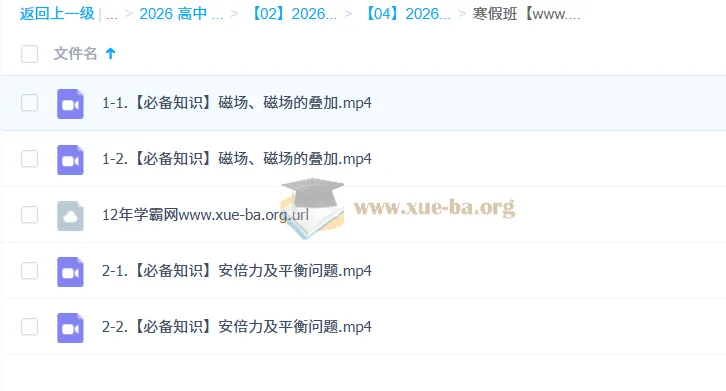 林婉晴高中高二物理寒假班