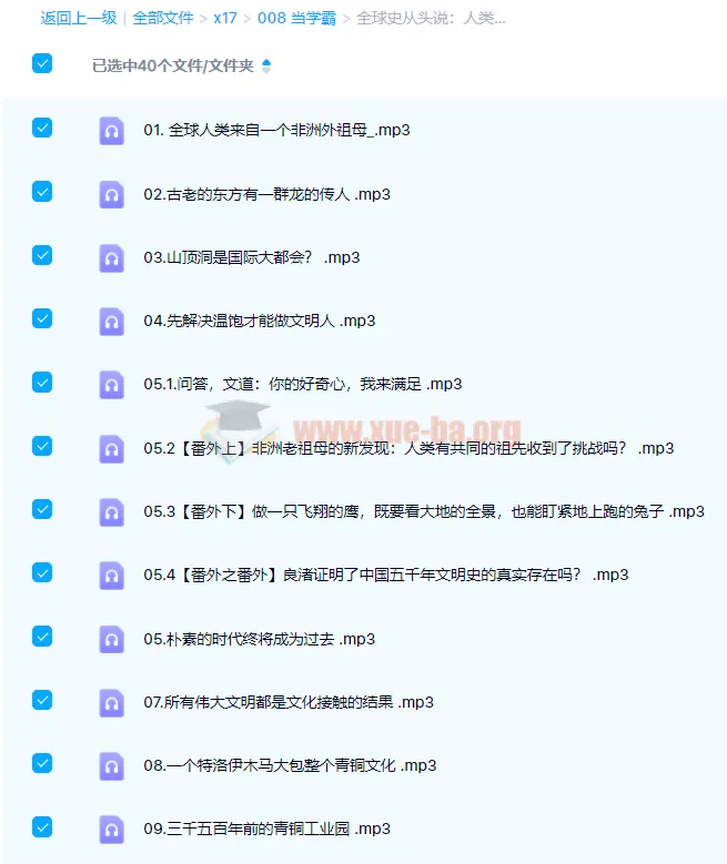 《全球史从头说:人类文明的共同起点》28讲课程完结