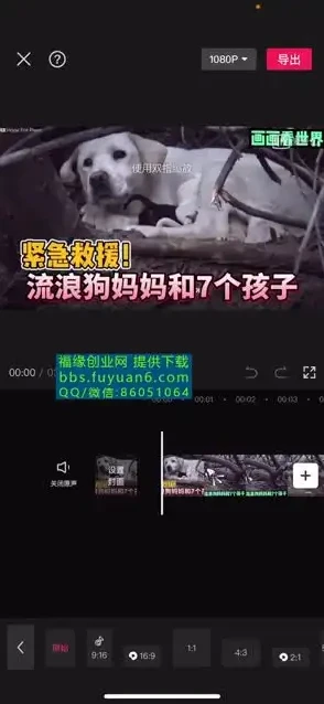 中视频计划:冷门蓝海项目实操指南,实现收益倍增