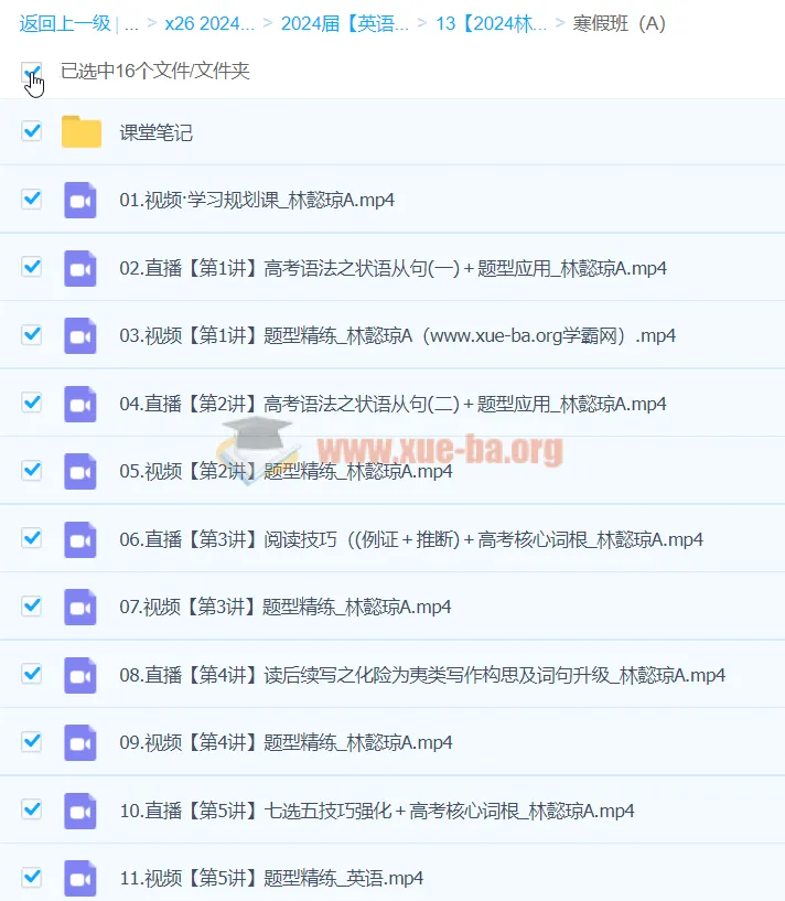 2024高三高考英语寒假A班课程（林懿琼主讲）