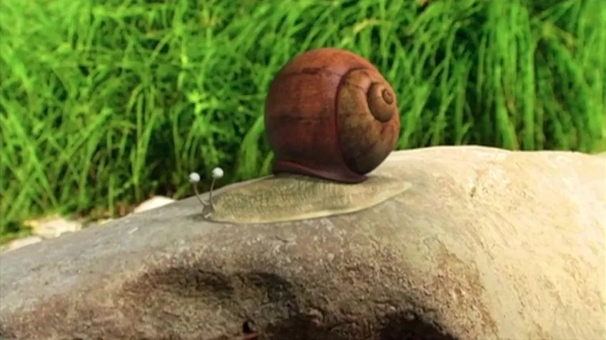 《昆虫总动员》177集动画全集