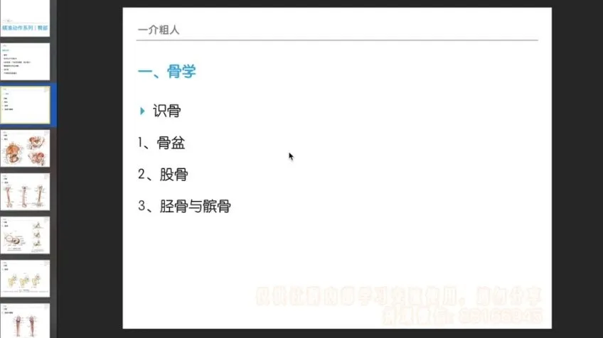 麦大湿臀部精准训练14课：从解剖到动作全解析