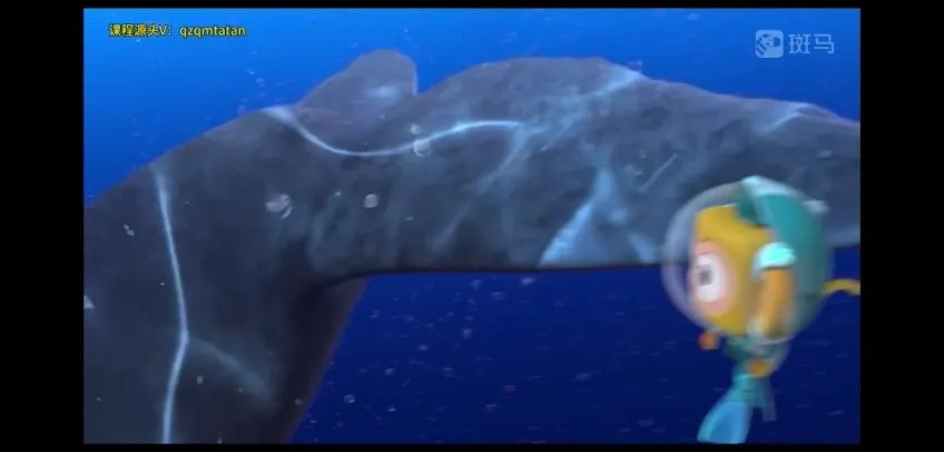 斑马百科:极地动物世界探秘