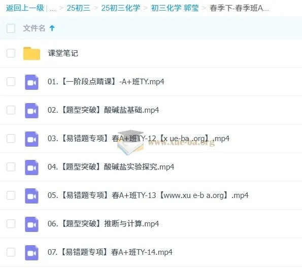 2024 - 2025初三中考化学郭莹A+班(秋季、寒假、春季)课程