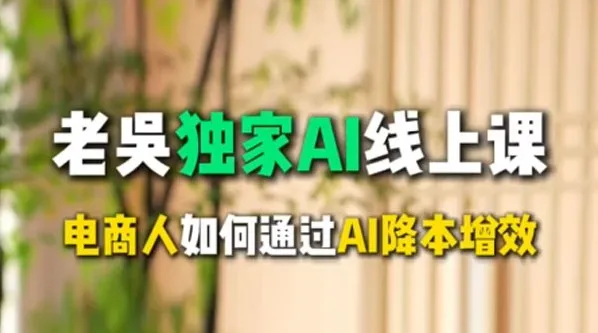 天诺老吴AI课：电商企业借助DeepSeek实现降本增效
