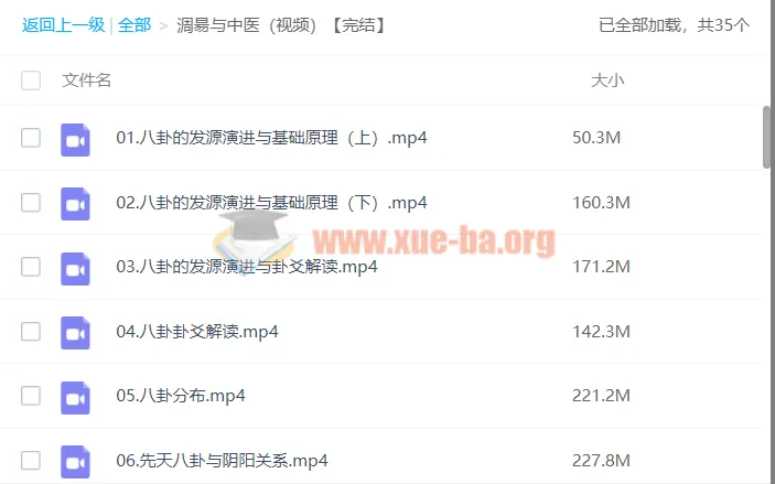 【潘毅】周易与中医（视频课程）