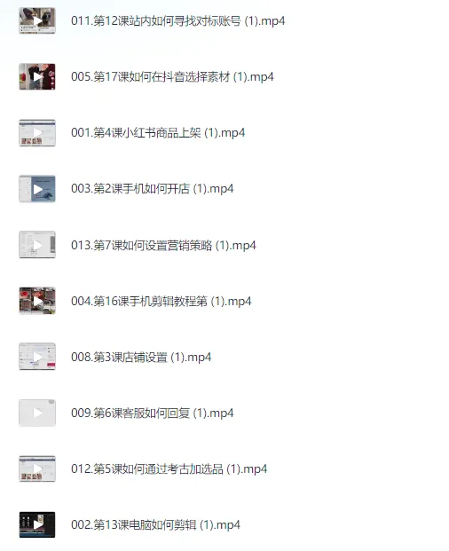 小红书电商实操课:0基础小白掌握平台玩法与运营全流程