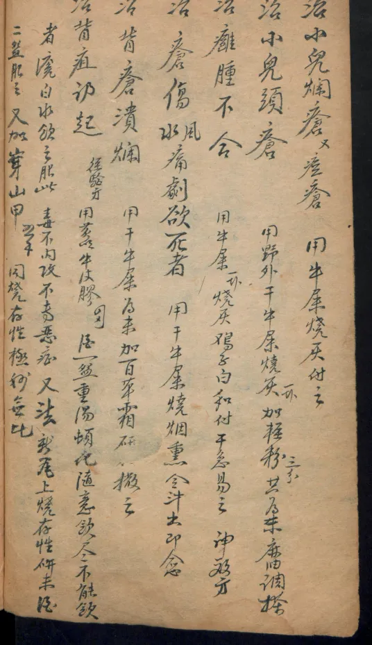 德国某大学收藏的稀缺中医古籍