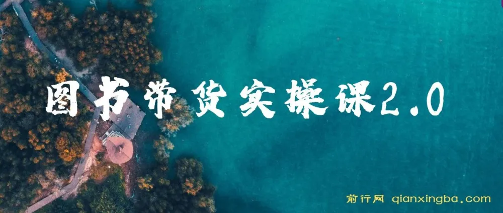 图书带货实战课2.0:从0开始学做图书账号运营变现,快速上手涨粉