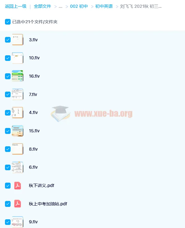 刘飞飞初三中考英语目标A+课程
