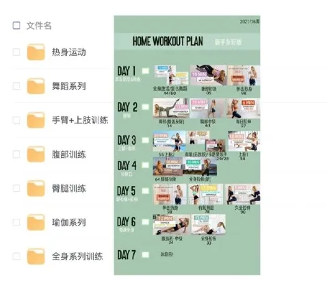 《新帕梅拉健身课程全集》